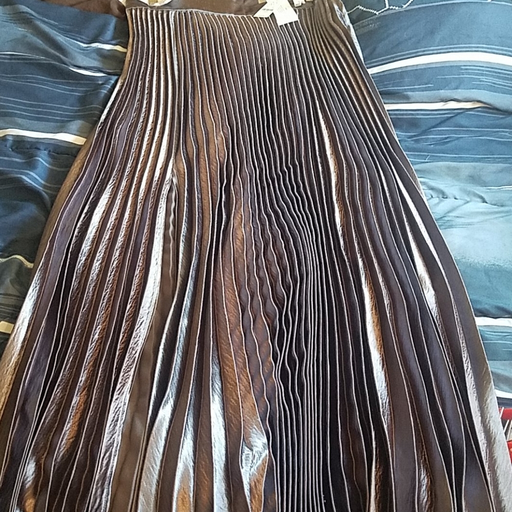 Pleated Skirt